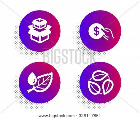 Packing Boxes, Leaf Dew And Payment Icons Simple Set. Halftone Dots Button. Leaves Sign. Delivery Bo