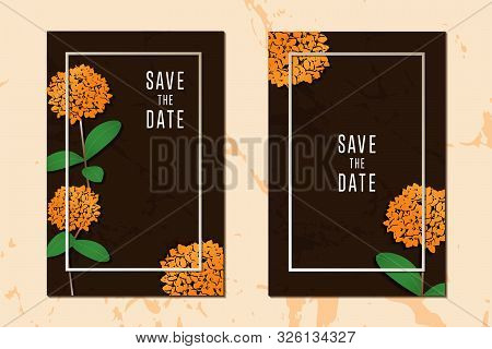 Floral Concept Getting Cards Texture Background Collection With Frame For Text Message Vector Design
