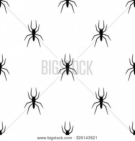 Seamless Pattern With Black Silhouette Of Spider On White Background. Halloween Decorative Texture. 