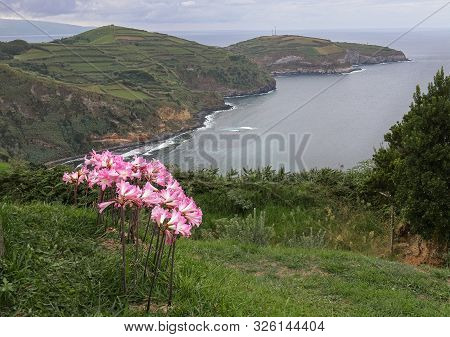 View Of North Coast Of São Miguel Island From Santa Iria View Point Near Ribeira Grande, Azores, Por