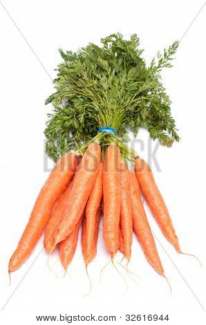 Bunch Of Carrots