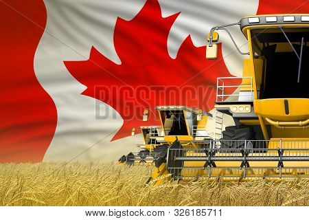 3 Yellow Modern Combine Harvesters With Canada Flag On Grain Field - Close View, Farming Concept - I