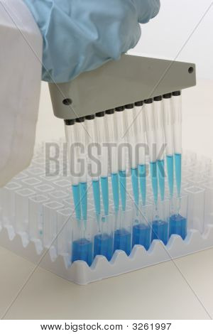 Laboratorio lavoratore mediante pipetta.