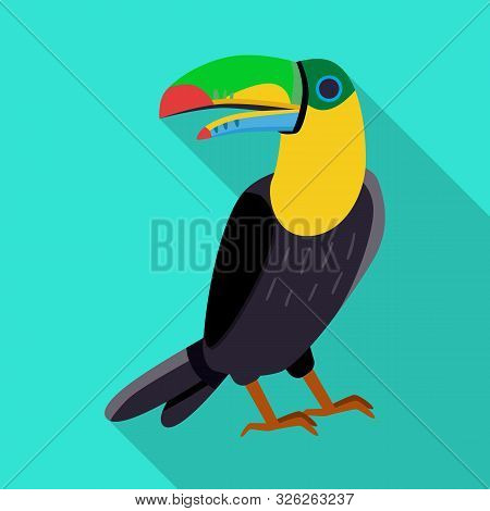 Vector Illustration Of Toucan And Bird Sign. Collection Of Toucan And Jungle Stock Symbol For Web.