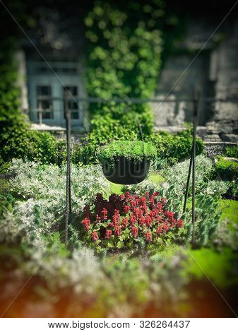 Garden In Front Of The Houses, A Wheelchair With Flowers. Good Landscape Design In An Urban Place.