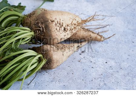 Autumn Harvest Of Vegetables Radish Copy Space