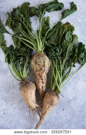 Autumn Harvest Of Vegetables Radish Top View