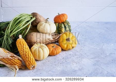 Autumn Harvest Of Vegetables. Pumpkin, Radish, Corn