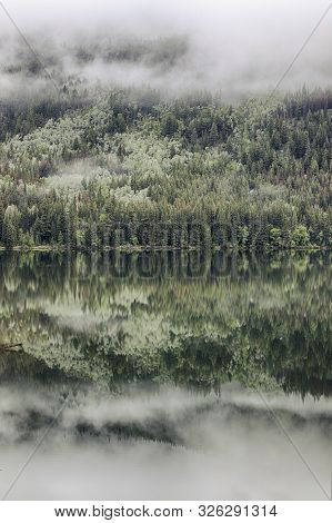 Reflection In The Yellowhead Lake, Jasper National Park