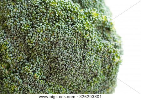 Texture Of Raw Broccoli Macro. Closeup Fresh Green Broccoli