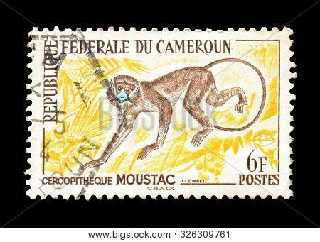 Cancelled Postage Stamp Printed By Cameroon, That Shows Moustached Guenon, Circa 1962.