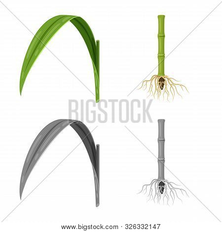 Isolated Object Of Farm And Agriculture Sign. Set Of Farm And Technology Vector Icon For Stock.