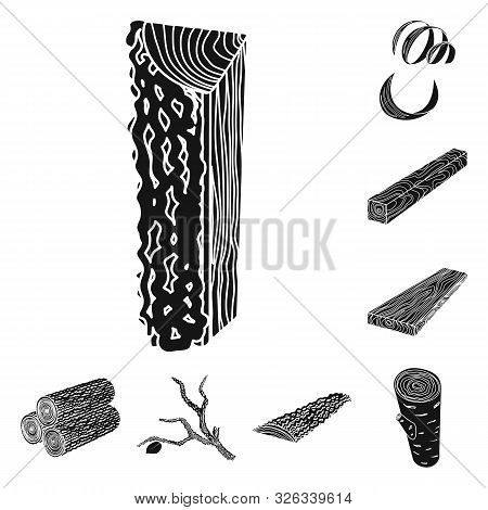 Vector Illustration Of Hardwood And Construction Icon. Set Of Hardwood And Wood Vector Icon For Stoc