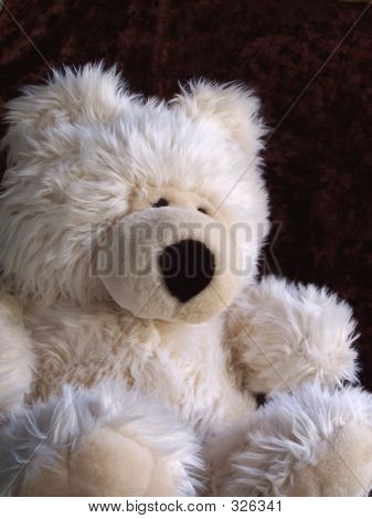 Teddy Bear.