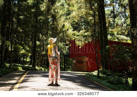traveling Asian woman hiking in the forest at Xitou, Nantou, Taiwan