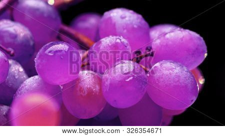 Grona Of Grapes On A Black Background. Purple Tones