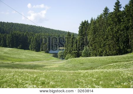 Sommarbete