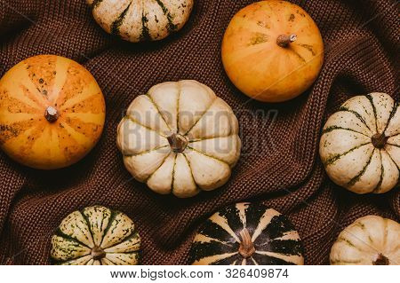 Decoative Pumpkins On Brown Knitted Sweater. Top View. Autumn Concept.