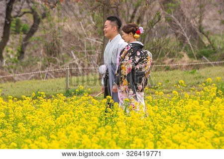 Nagano, Japan - April 19, 2019 : People Visiting Blooming Canola Flowers In Chikuma River Park ,obus