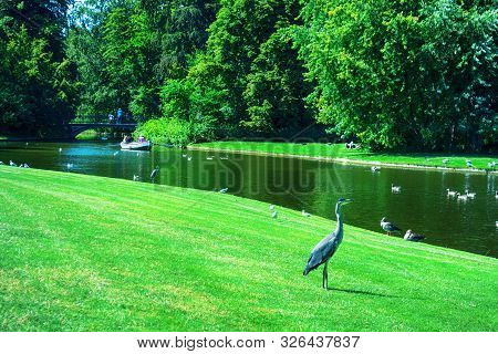 Beautiful Park With A Pond, Ducks And Beautiful Nature. Copenhagen. Denmark. Rest Zone.