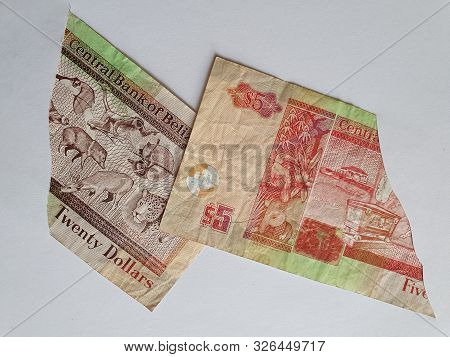 Belizean Banknotes Of Different Denominations On The Broken Sheet Of Paper