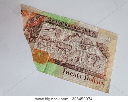 Belizean Banknote Of Twenty Dollars On The Broken Sheet Of Paper