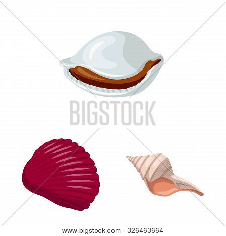 Vector Design Of Seashell And Mollusk Logo. Set Of Seashell And Seafood Stock Vector Illustration.