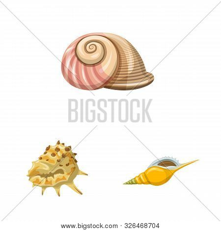 Vector Design Of Seashell And Mollusk Icon. Collection Of Seashell And Seafood Stock Vector Illustra