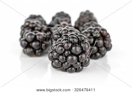 Lot Of Whole Arranged Fresh Black Blackberry Isolated On White Background