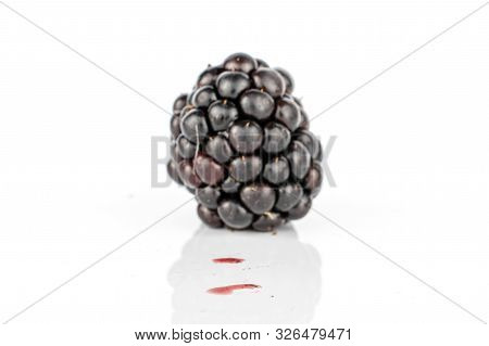 One Whole Fresh Black Blackberry Isolated On White Background