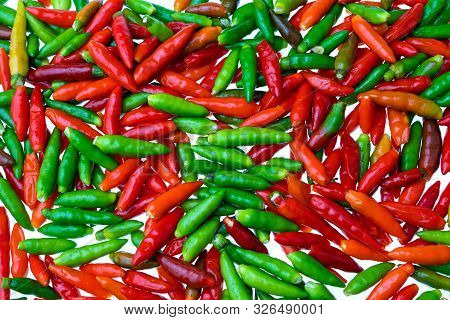 Group Of Chili Pepper At Isorated White Background