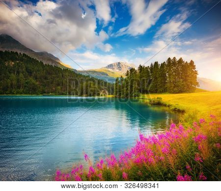 Majestic view of the azure pond Champfer. Location place of resort Silvaplana village, Swiss alps, Maloja pass, Switzerland, Europe. Perfect natural wallpaper background. Discover the beauty of earth.