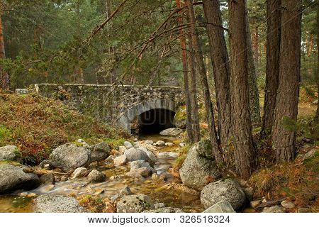 Stone Bridge Over A Stream In The Forest