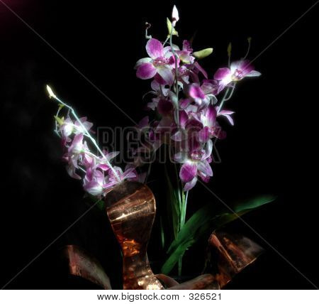 Lightpaintflowers