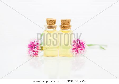 Essence Of Knapweed Flowers On White Background In Beautiful Glass Bottle