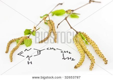 Alergiczny nieżyt nosa