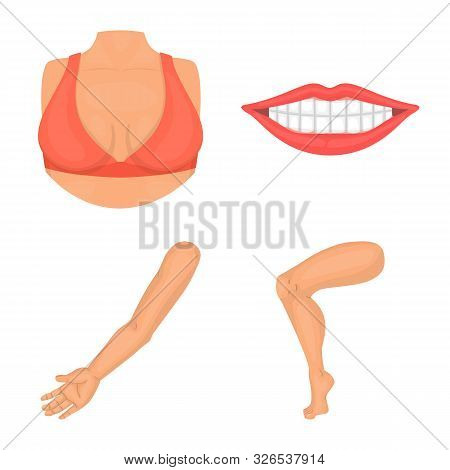 Vector Design Of Body And Part Logo. Set Of Body And Anatomy Vector Icon For Stock.