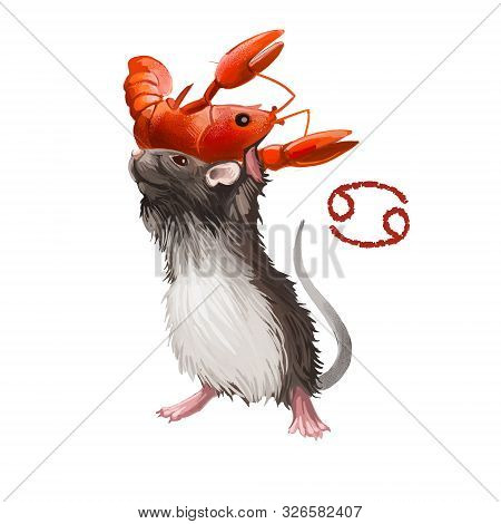 Cancer Creative Digital Illustration Of Astrological Sign. Rat Or Mouse Symboll Of 2020 Year Signs I