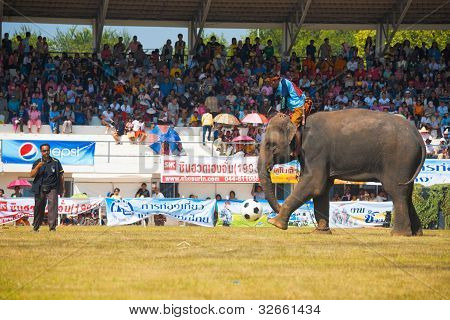 Surin Elefant kicking FuÃŸball