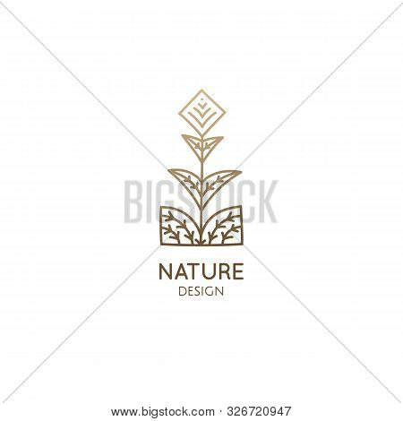 Tropical Plant Logo. Outline Emblem Of Exotic Flower In Linear Style. Pattern Minimal Icon. Vector A