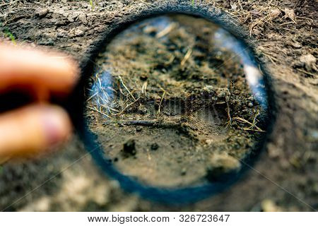 Hand Holding A Magnifying Glass Searching For A Footstep Track On The Ground, Crime Invetigations