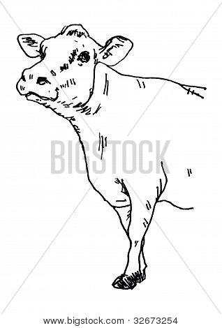 Ushi Statue