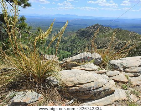 Mogollon Rim, Coconino National Forest, Yavapai County, Arizona.