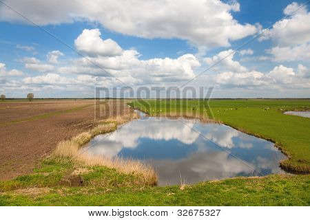 Paisaje típico holandés con el lago y las nubes en el polder