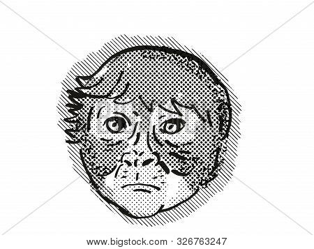Retro Cartoon Style Drawing Head Of A Spider Monkey, A Monkey Species Viewed From Front On Isolated 