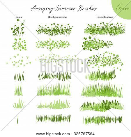 Set Of Summer Vector Grass Ecology Brushes - Silhouettes Of Summer Grass, Flowers, Different Earth G