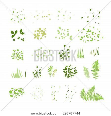 Set Of Silhouettes Of Summer Grass, Leaves, Foliage Of Trees, Different Greenery Types Isolated On W