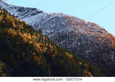 Paisaje de otoño