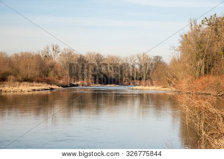 Odra River With Trees Around Near Bohumin Town On Czech-polish Borders During Beautiful Winter Day