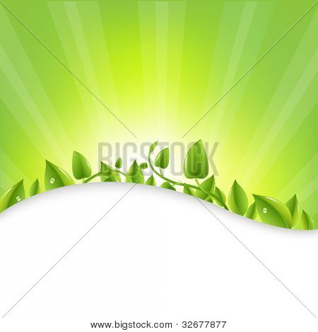 grüne Blätter mit Sunburst und Strahlen, Vektor-illustration